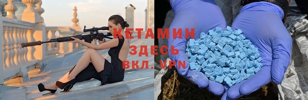 индика Алексин
