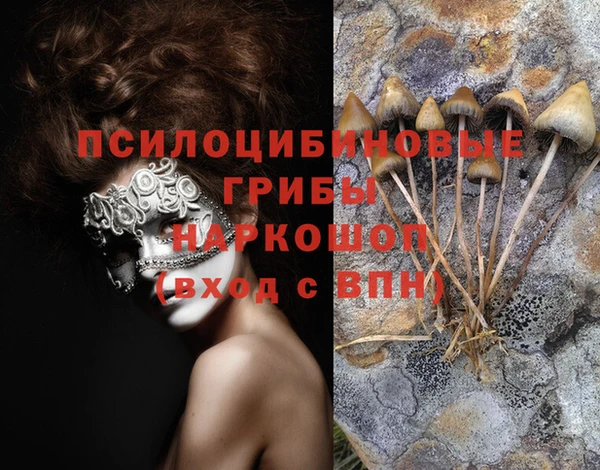 индика Алексин