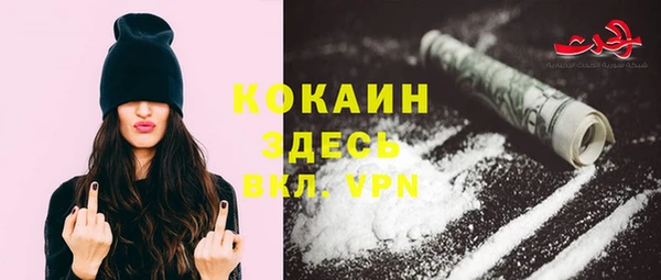 индика Алексин