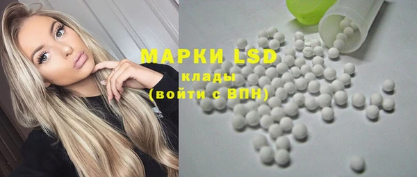 индика Алексин