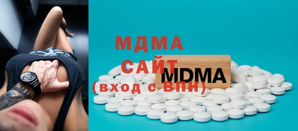индика Алексин