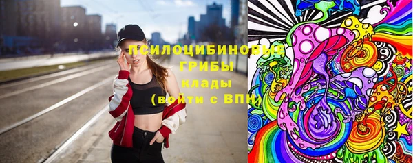 индика Алексин
