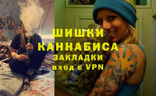 индика Алексеевка