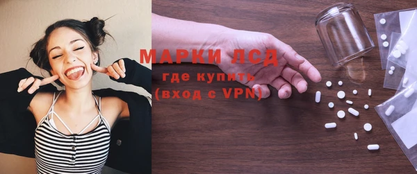 индика Алексин