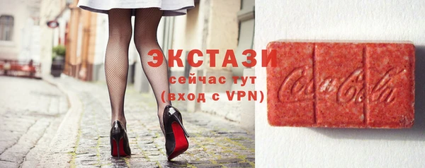 индика Алексин