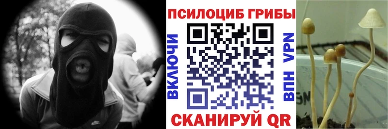 Купить где  Бор  Галлюциногенные грибы мицелий 