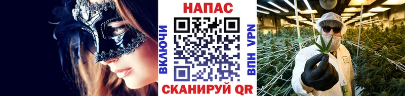 Бошки Шишки SATIVA & INDICA  Купить закладки  Бор 